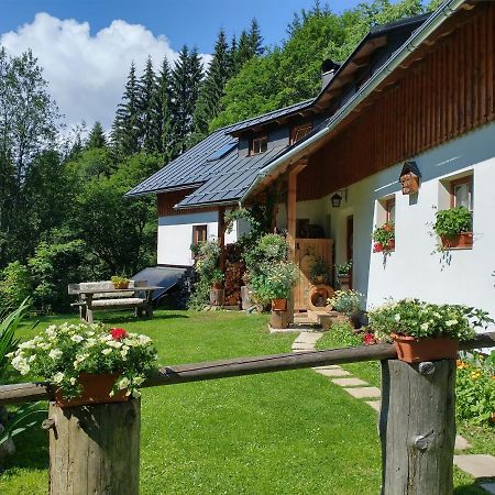 Appartement Alm-House Hollmann à Železná Ruda Extérieur photo