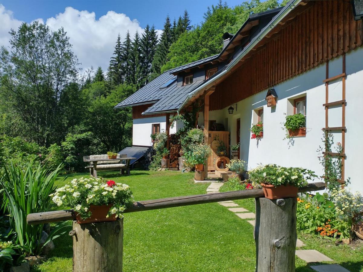 Appartement Alm-House Hollmann à Železná Ruda Extérieur photo