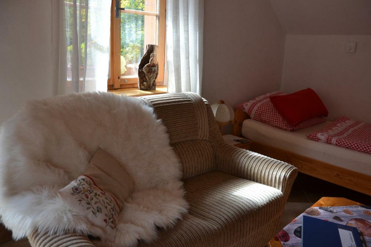 Appartement Alm-House Hollmann à Železná Ruda Extérieur photo