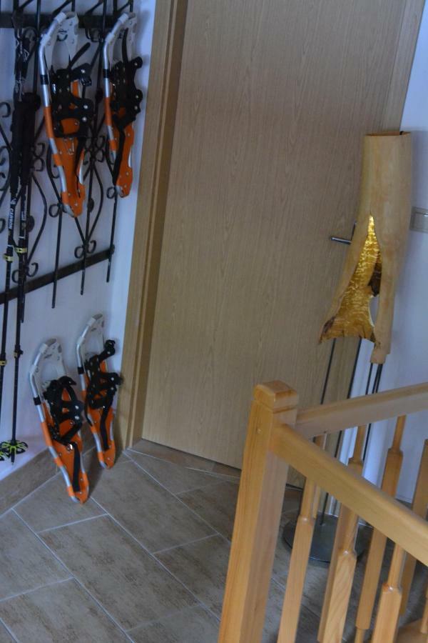 Appartement Alm-House Hollmann à Železná Ruda Extérieur photo
